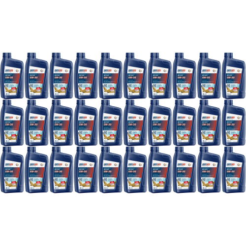 EUROLUB WIV ECO 5W-30 Motoröl 30x 1l = 30 Liter